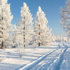 Татьяна Давыдова, 25.01.1990, Нижний Новгород