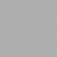 Maks Zhalgasbayev, Тараз