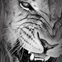 Takhir Khivazov, 06.05.1991, Алматы