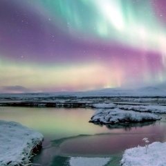 Дмитрий Платонов, 31.12.1987, Москва