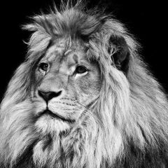 Константин Константинов, 15.08, Энгельс