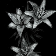 Ксюша Матвеева, 13.04