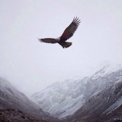 Nurbek Sabetov, 16.10.1993, Кульсары