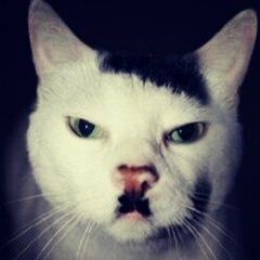 Артур Магомедов, 31.07.1901, Заинск