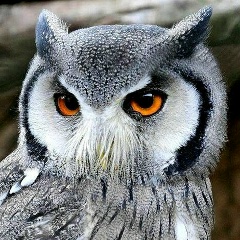 Олег Смирнов, 16.08, Санкт-Петербург