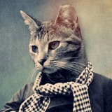 Александр Кот, 09.11, Киев