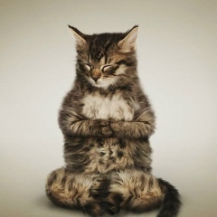 Света Фёдорова, 11.06.1998