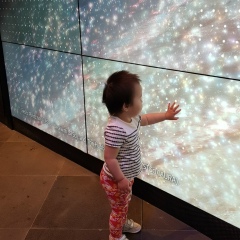 Аман Кушкалиев, 30.01.1987