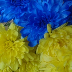 Юлия Крылова, 07.09, Киев