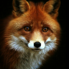 Вероника Исламова, 07.09, Тараз