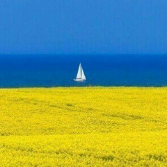 Ваврикович Володимир, 25.06, Тернополь