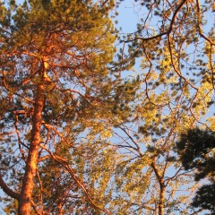 Евгения Сергунина, 29.10.1984, Москва