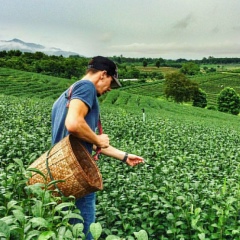 Artemys Kendoskany, 14.10.1982