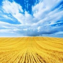 Галя Сурмачевська, 11.09.1990, Львов