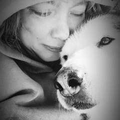 Майя Жадина, Москва