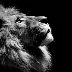 Дени Татарханов, 24.11.1984, Грозный