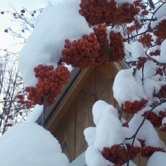 Римма Фёдоровна Яговкина, 28.03, Уральский