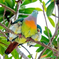 Дарья Вострокнутова, 02.04, Люберцы