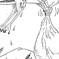 Андрей Шевяков