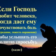 Дина Гошокова