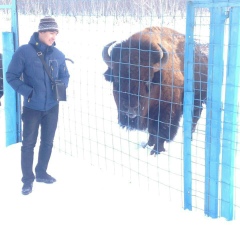 Азамат Акимов
