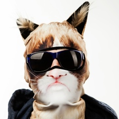 Кирилл Круглов, 16.06.1986, Санкт-Петербург