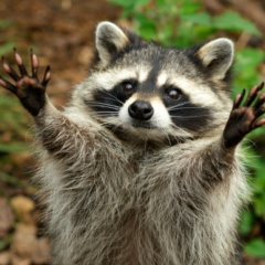 Юлия Зобова, Чебоксары