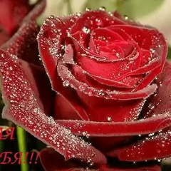 Жадыра Шотанова, 27.06, Актобе