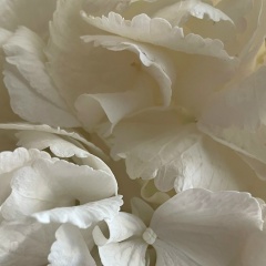 Дарья Арбузова, Тюмень