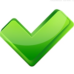 Ольга Зидан, Санкт-Петербург