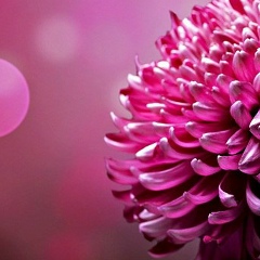 Ольга Гринько, 06.02.1983, Одесса