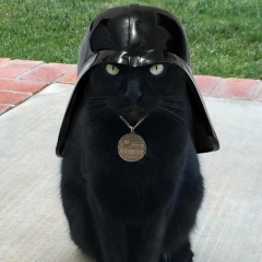 Артём Стасюк, 10.07.1985, Донецк