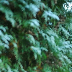 Фарит Зиннатов, 10.06.1990, Казань