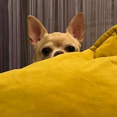 Надежда Панкова, 16.06.1980, Суворов