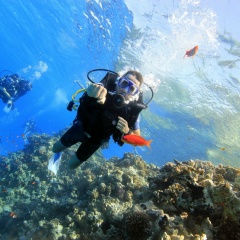 Don Artem, 13.07.1951