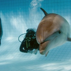 Ольга Карпушина, 30.12, Набережные Челны