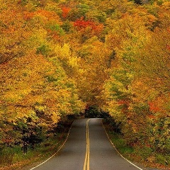 Эльмира Махмудова, 14.12, Уральск