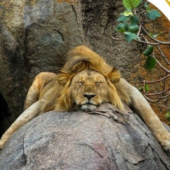 Ольга Константиновна, Санкт-Петербург