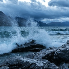 Николай Шаравин, 22.06.1980, Красноярск