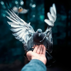 Эпсни Сатуева, 02.04.1952, Грозный