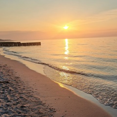 Елена Олеговна, Калининград