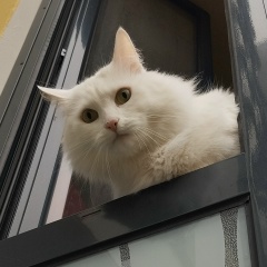 Роман Демидов, 11.07.1989, Гомель