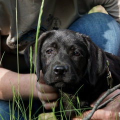 Константин Пучков, 28.09, Москва