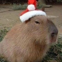 Анна Брюзгина, 13.06.2005