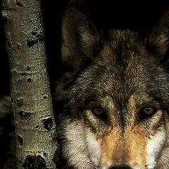 Адам Муртазаев, 12.08.1999, Санкт-Петербург