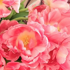 Мария Матвеева, 17.09.1992, Смоленск