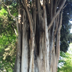 Татьяна Баринова, 18.01, Москва