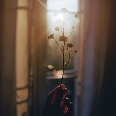 Annie Ulianova, 14.07, Москва