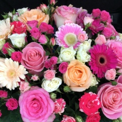 Лейла Цечоева, 24.06.1987, Малгобек