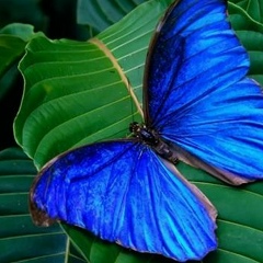 Анастасия Шульц, 05.01, Москва